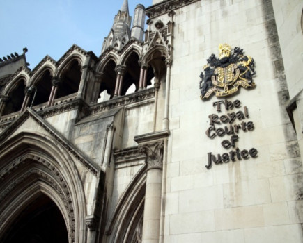 Court of Appeal success reinforces value of badger cull injunction