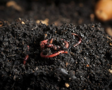 Research proves value of compost and digestate