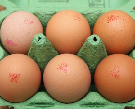 Farmers aim to end Britain’s obsession with large eggs