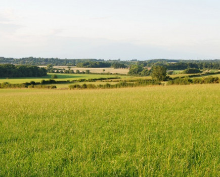 Pay farmers to put grass leys in arable rotations