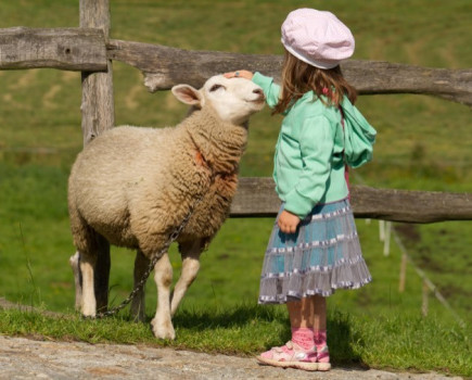 Farmers looked at more favourably