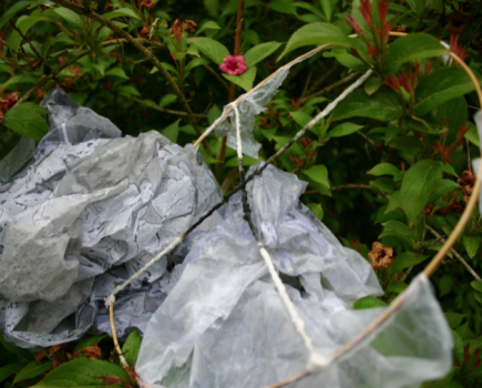 ‘Stop using dangerous sky lanterns’ says CLA