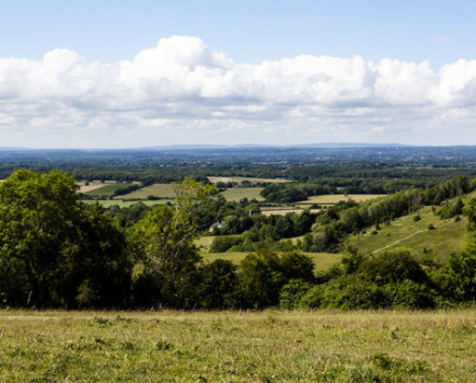 Pioneering project to revive ‘lost woods’