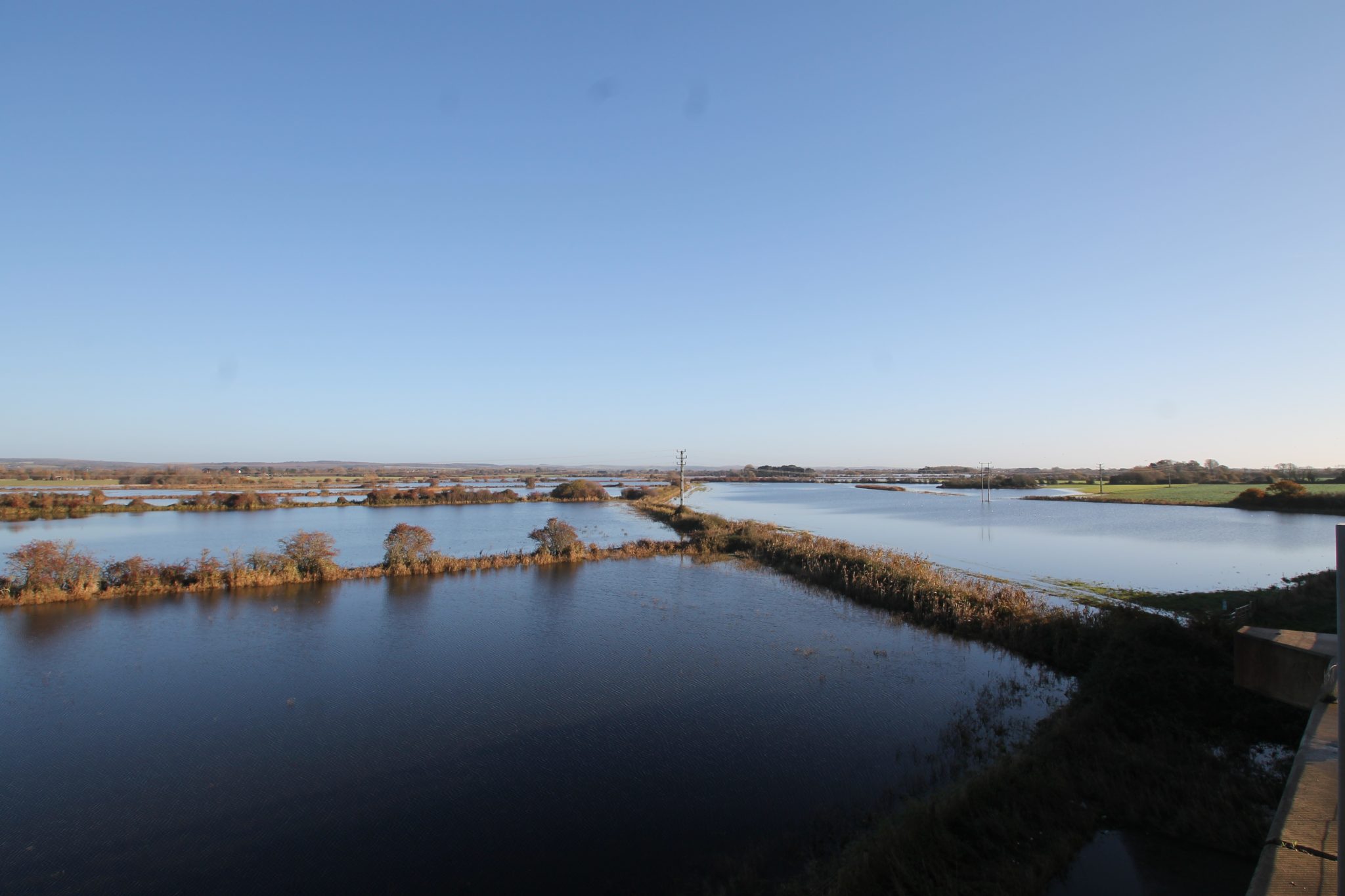 Anger over rifes neglect is mounting South East Farmer