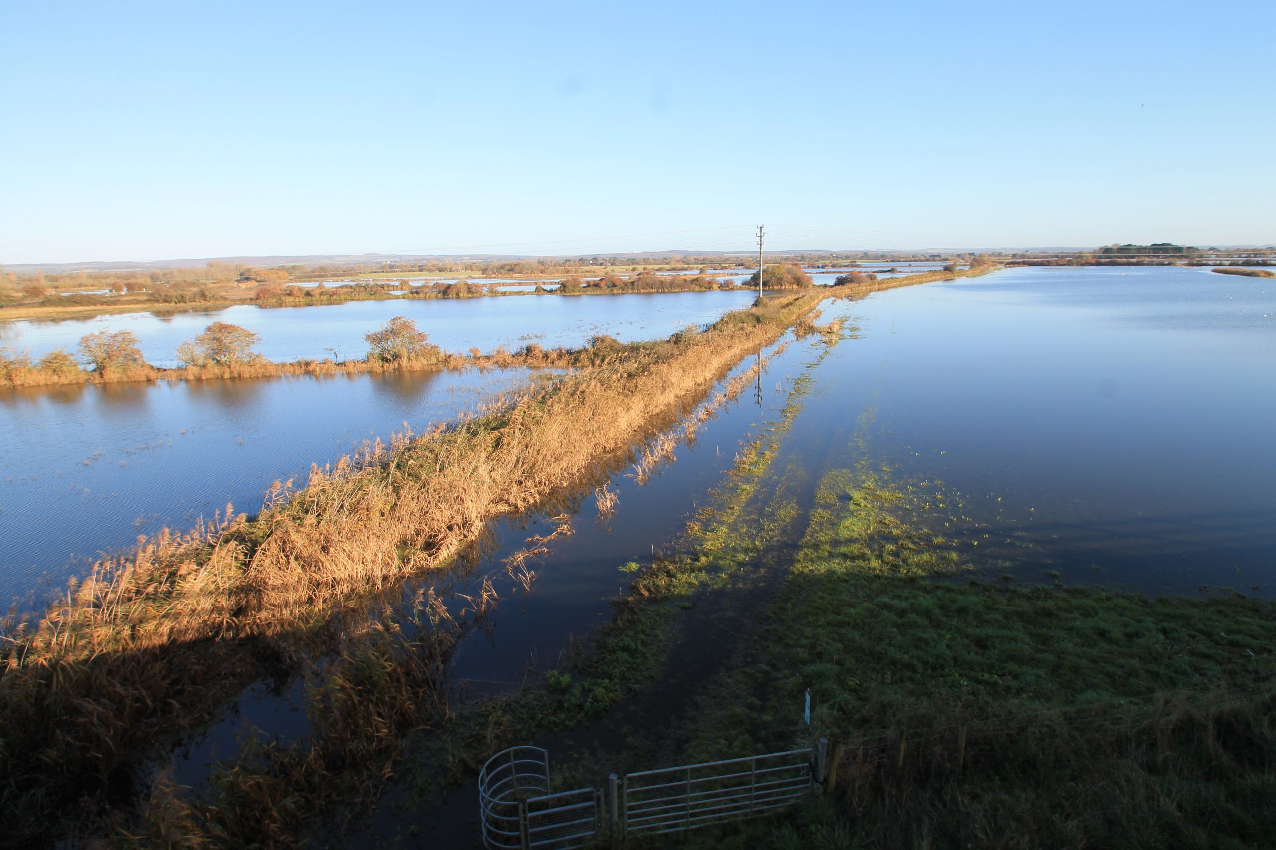 Anger over rifes neglect is mounting South East Farmer