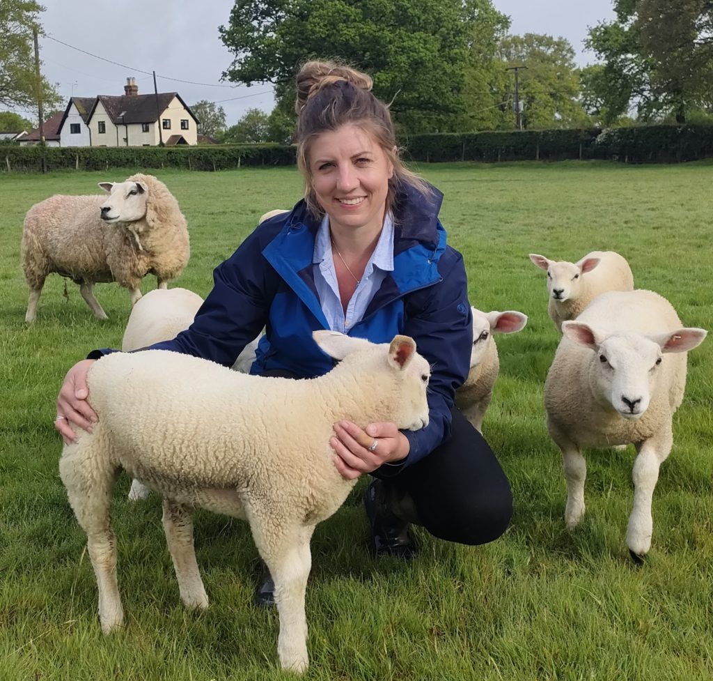 Livestock farmers are invited to a Farm of the Future demonstration ...