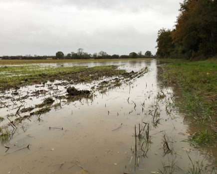 How the UK’s relentless rain could affect grower’s contracts