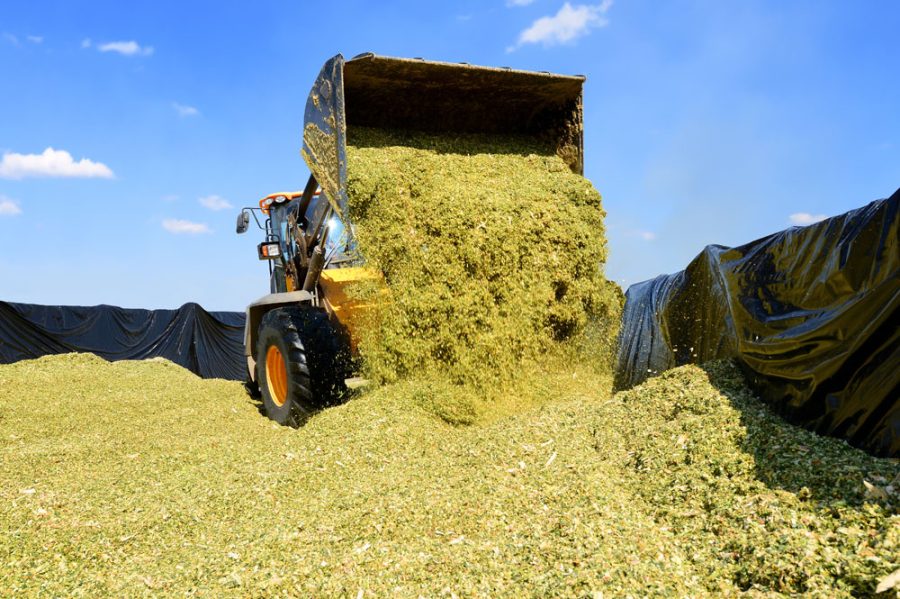 UK farmers urged to clamp down on silage pollution