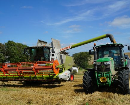 Variety of income streams at Housedean Farm