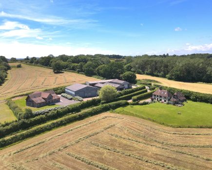 Wealden farm with significant income