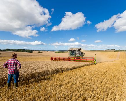 Check insurance for temporary workers during harvesting season