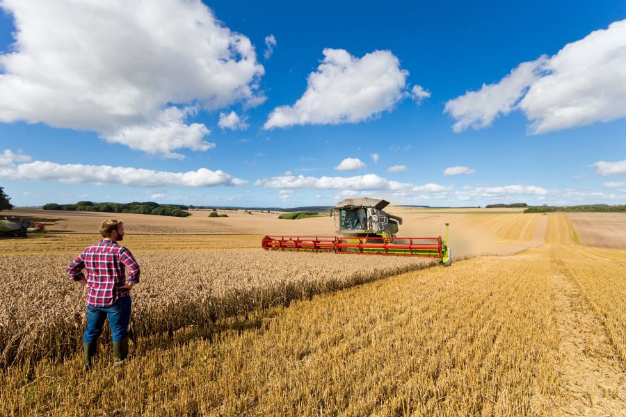 Check insurance for temporary workers during harvesting season