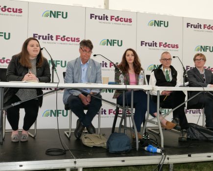 Exhibitors turning heads at Fruit Focus