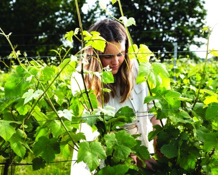 MEGAN FITZPATRICK: Climate change and soil