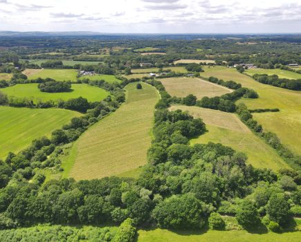 Award winning English rosé producer