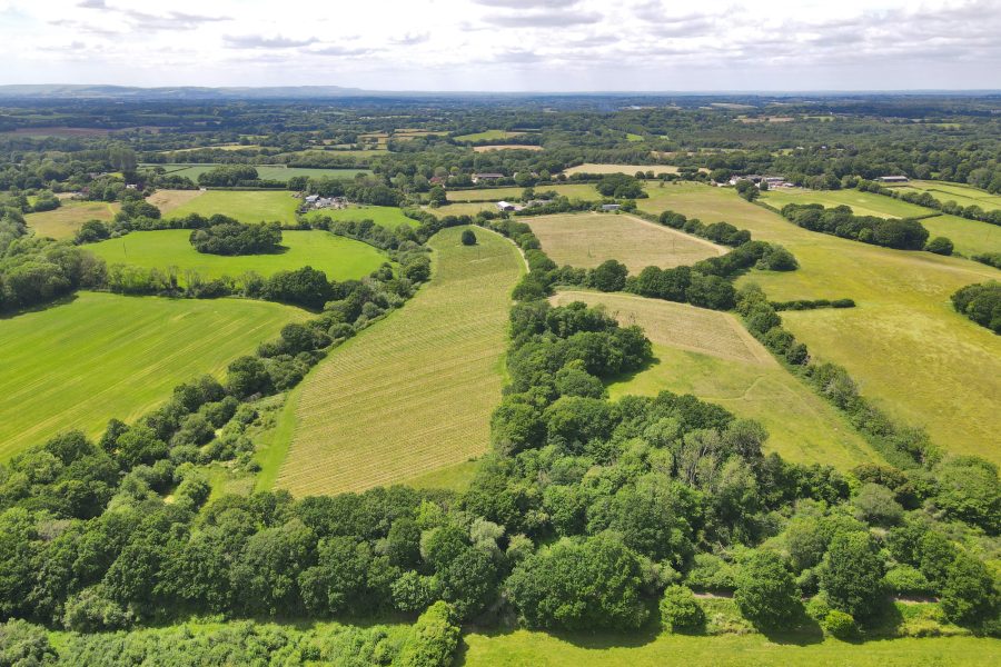 Award winning English rosé producer