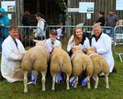 Agriculture a priority at Kent County Show