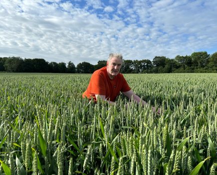 Consecutive high pressure disease years bring Mayflower’s credentials to the fore