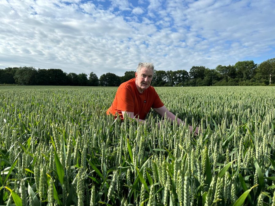 Consecutive high pressure disease years bring Mayflower’s credentials to the fore