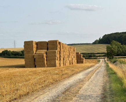 Stack attacks or falling bales – how to reduce your liability