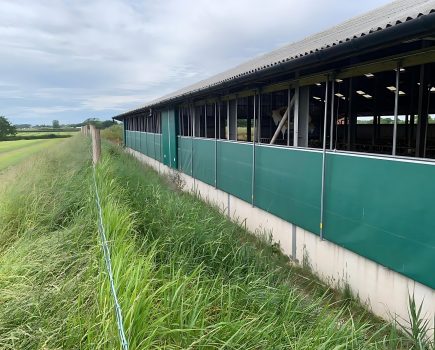 Weather-proofing livestock housing key to making the most of bedding resources this winter