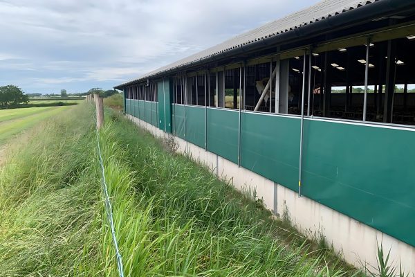 Weather-proofing livestock housing key to making the most of bedding resources this winter