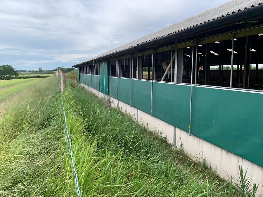 Weather-proofing livestock housing key to making the most of bedding resources this winter