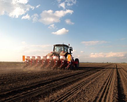 Prioritise crop nutrition when drilling winter cereals early