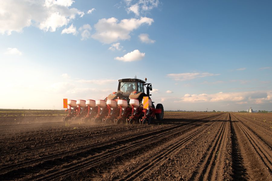 Prioritise crop nutrition when drilling winter cereals early