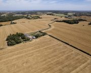 Growing momentum in the region’s farmland market