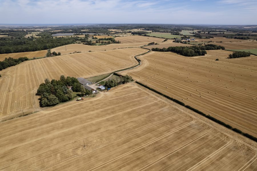 Growing momentum in the region’s farmland market