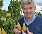 Staying true to National Fruit Show’s original aims