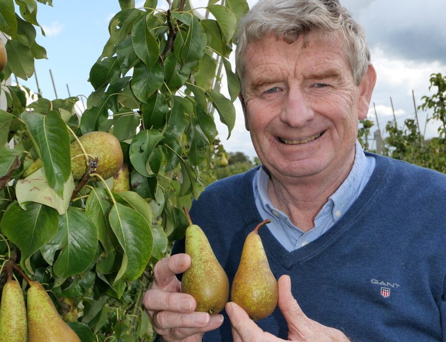 Staying true to National Fruit Show’s original aims