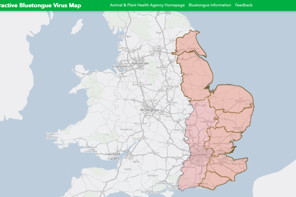 Blow to livestock farmers as bluetongue restricted zones introduced