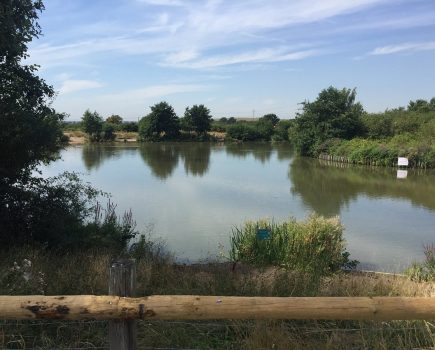 Essex Wildlife Trust receives £190,000 boost to community and nature projects