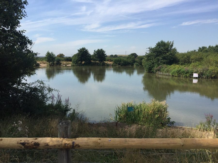 Essex Wildlife Trust receives £190,000 boost to community and nature projects