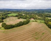 Two farms in beautiful East Sussex