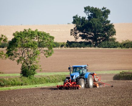 Top tips for establishing spring cereals