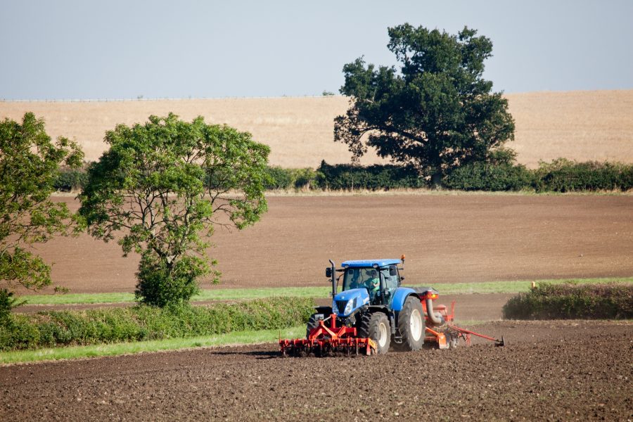 Top tips for establishing spring cereals