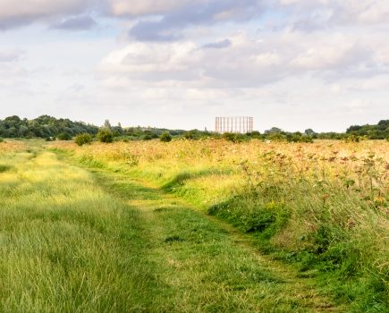 How to profit from unusable land