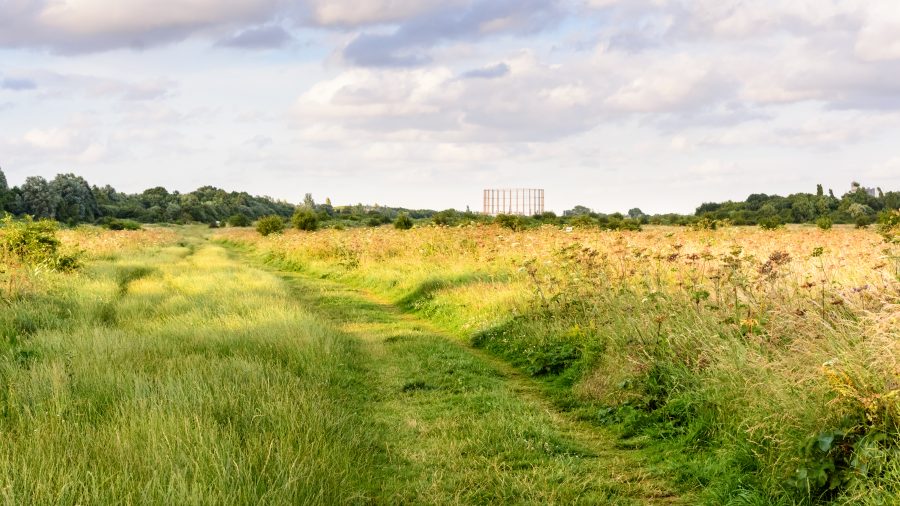 How to profit from unusable land