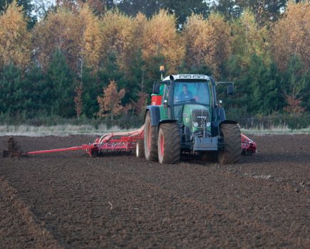 Give a boost to later drilled wheat crops