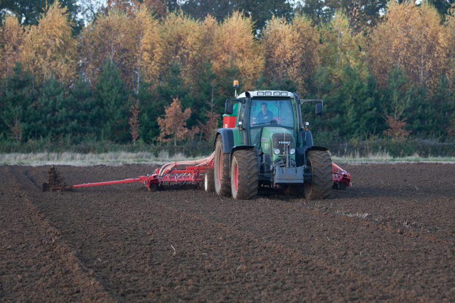 Give a boost to later drilled wheat crops