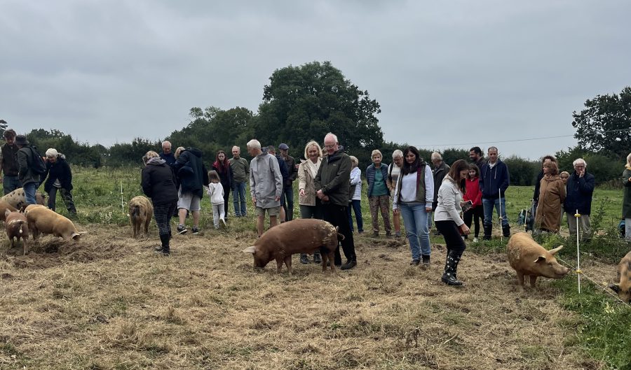 Reinventing the family farm at Brightleigh