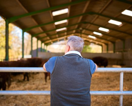 Farm assurance: “It should be better than this”