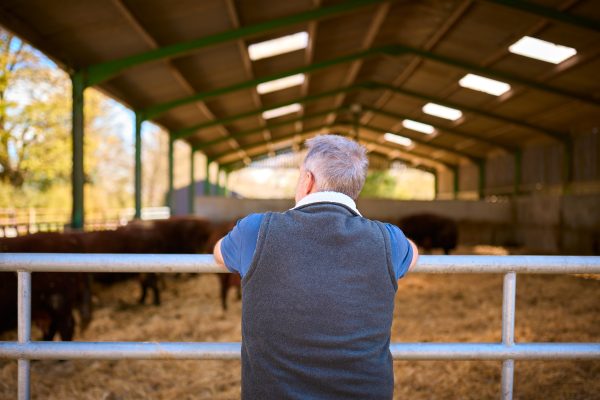 Farm assurance: “It should be better than this”