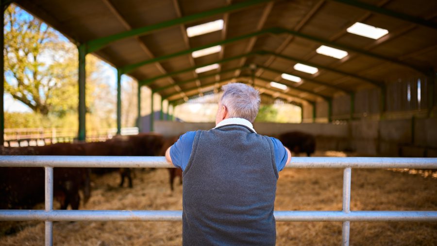 Farm assurance: “It should be better than this”