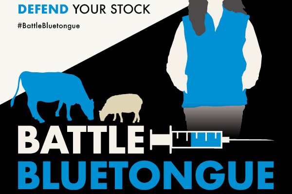 Battle against bluetongue campaign launched