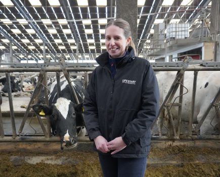 Trials show soya-free diet success for dairy cows