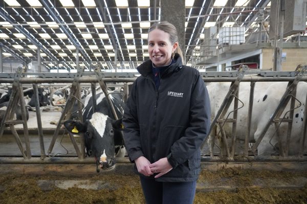 Trials show soya-free diet success for dairy cows